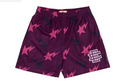 Eric Emanuel x BAPE Basic Shorts - Miami Purple